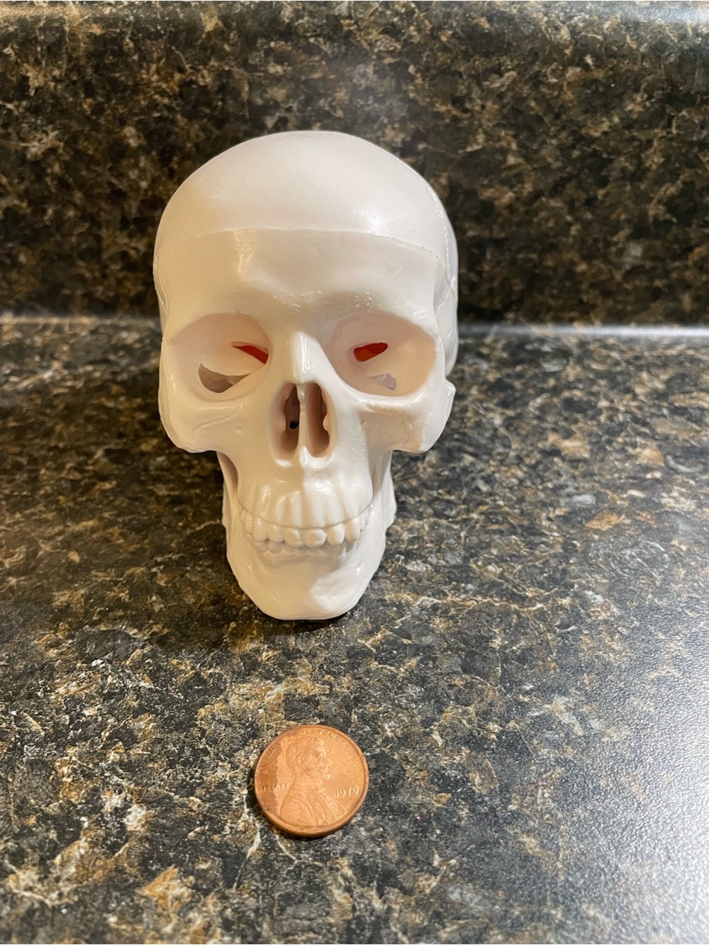 Plastic Skull